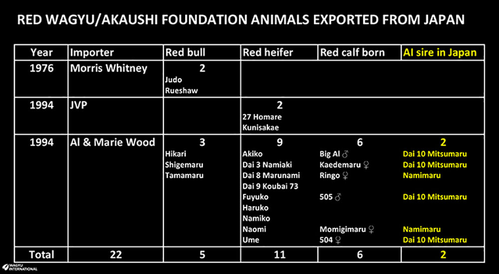 Foundation Red sire